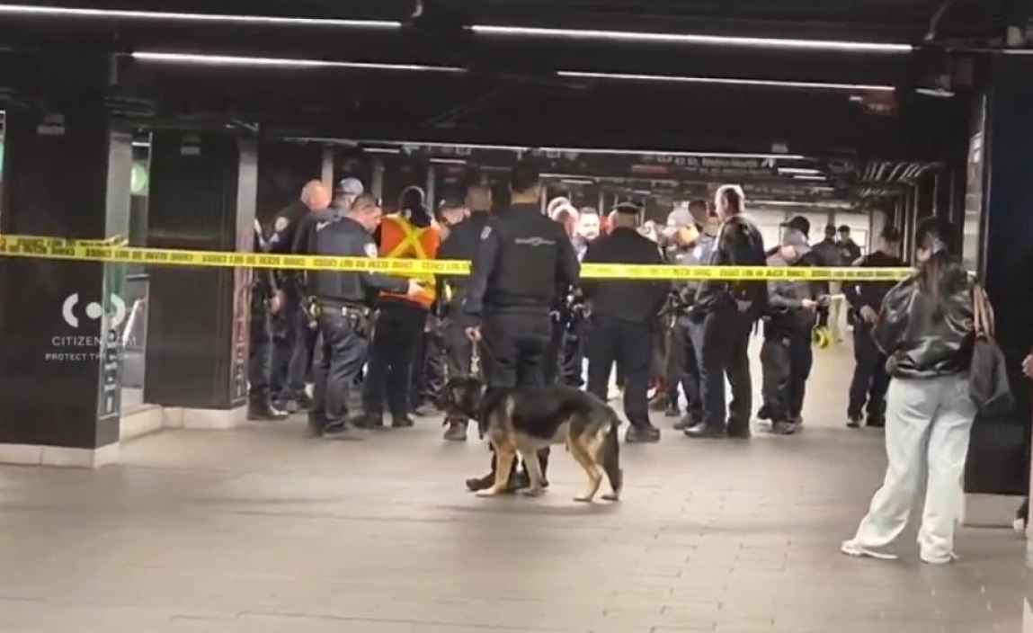 un-american,-lucifer,-a-injunghiat-trei-batrani-cu-o-maceta-in-statia-de-metrou-grand-central-din-new-york.-politia-l-a-executat-pe-peron