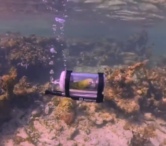 un-barbat-a-construit-un-minisubmarin-pentru-papagalul-sau.-este-primul-papagal-care-face-snorkeling
