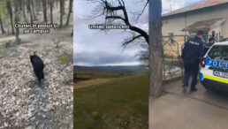 barbat-din-tibana-disparut-dupa-o-cearta-cu-sotia,-gasit-dupa-o-ampla-operatiune-de-cautare