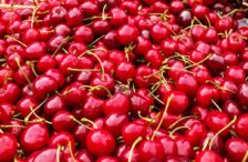 ciresele-de-comarna,-celebra-localitate-de-producatori-din-iasi,-vor-fi-din-belsug-in-acest-an:-o-sa-fie-cirese-de-o-sa-manance-si-cainii!