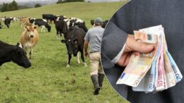 risca-puscaria-din-cauza-comertului-cu-bovine!-martor-constrans-sa-si-infiinteze-o-firma-fictiva!