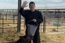 gabriel-oprea-anunta-o-investitie-de-5-milioane-de-euro-in-ferma-black-angus-detinuta-de-gigi-netoiu