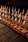 imagini-exclusive-de-la-gala-premiilor-gopo-2026.-cine-sunt-marii-castigatori