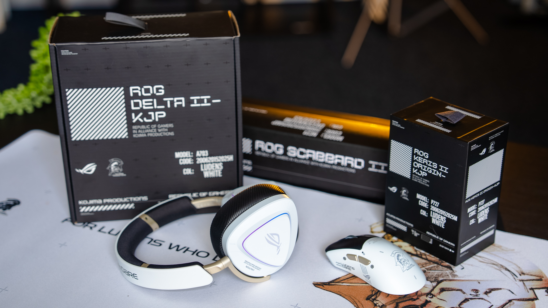colaborare-facuta-cum-trebuie-–-colectia-rog-x-kjp