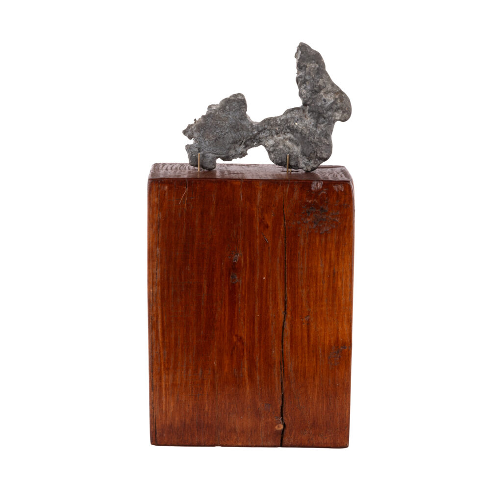 statueta-din-plumb-le-crocodile,-a-lui-brancusi,-scoasa-la-licitatie.-care-e-pretul-de-pornire
