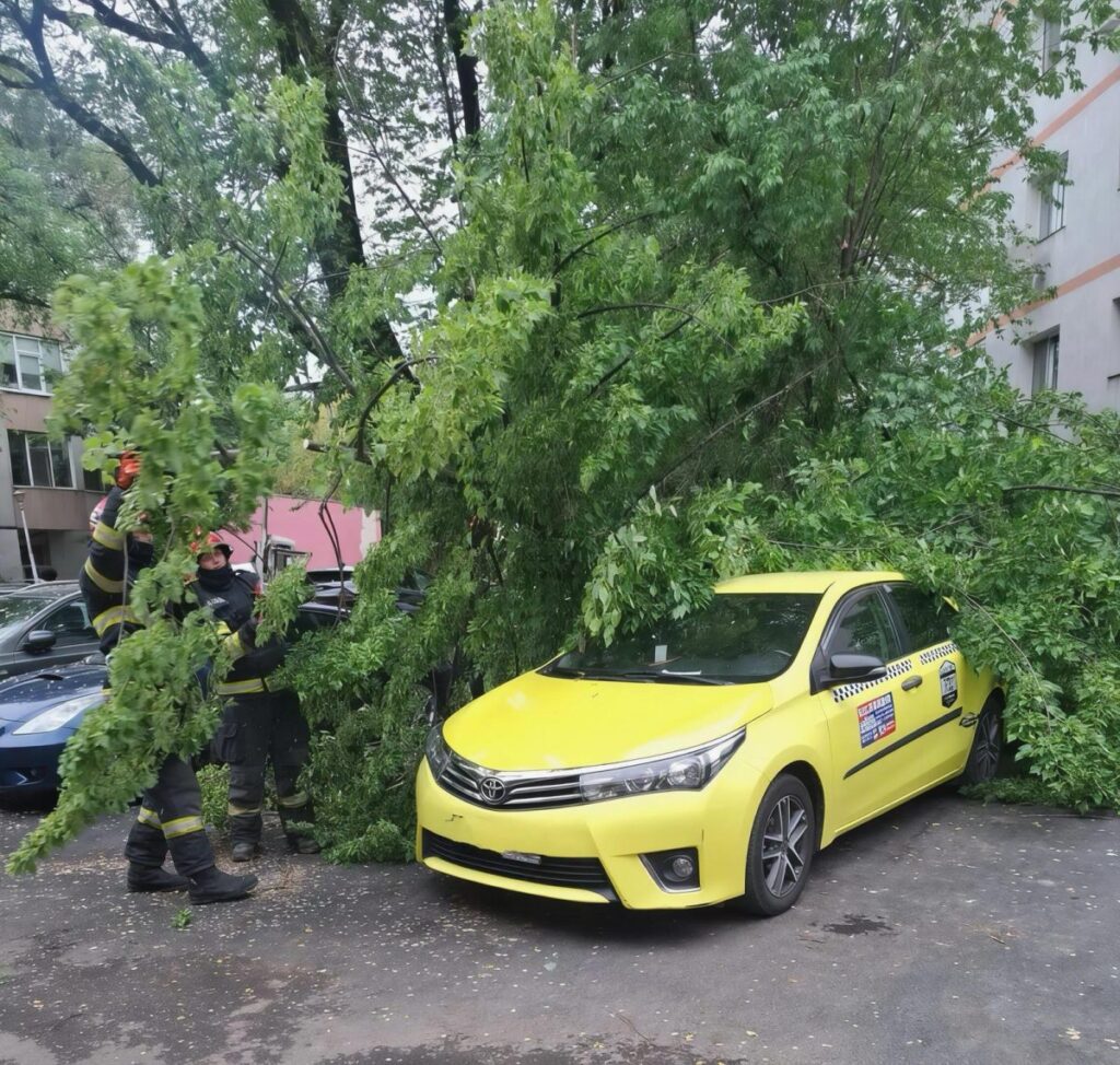 arbore-prabusit-peste-un-autoturism-pe-strada-sfantul-lazar-din-municipiul-iasi