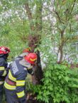 un-copac-a-luat-foc-municipiul-iasi!-pompierii-au-intervenit-de-urgenta