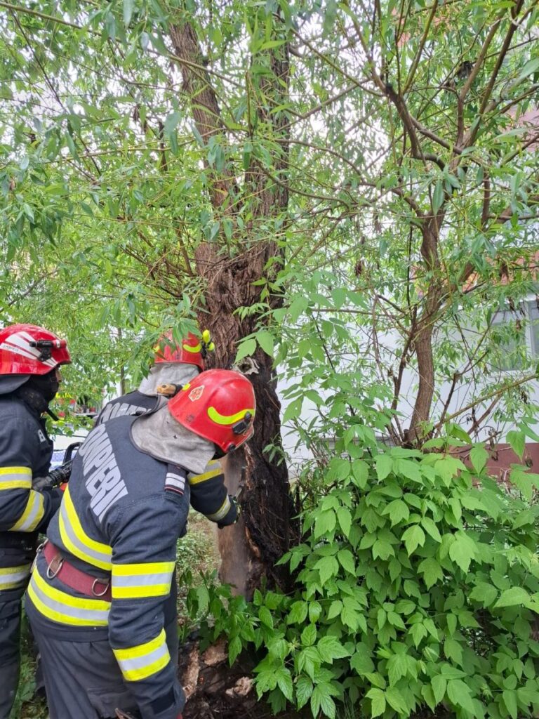 un-copac-a-luat-foc-municipiul-iasi!-pompierii-au-intervenit-de-urgenta