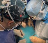 spania-stabileste-din-nou-un-record-in-transplanturi:-39-de-donatori-de-organe-in-48-de-ore