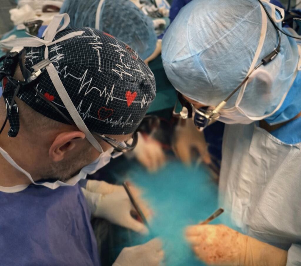 spania-stabileste-din-nou-un-record-in-transplanturi:-39-de-donatori-de-organe-in-48-de-ore