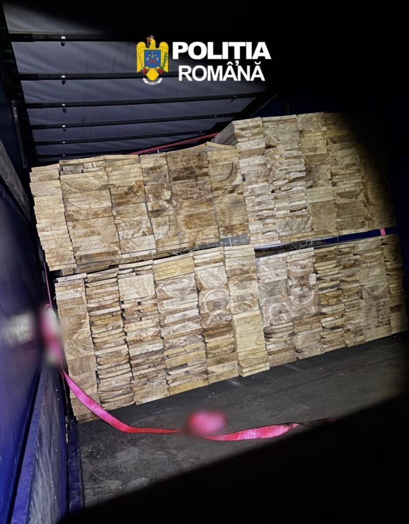 camion-incarcat-cu-lemne-fara-acte,-oprit-de-politisti-la-motca
