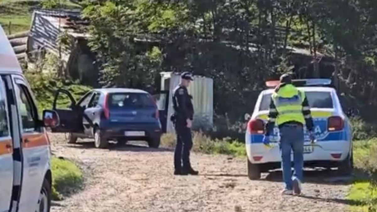 martora-da-vina-pe-victima-unei-tentative-de-omor!-de-la-el-a-pornit-totul!