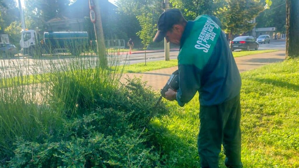 vegetatia-din-cartierele-din-iasi-va-fi-taiata-in-urmatoarele-saptamani!-iesenii-sunt-nemultumiti-ca-primaria-a-intarziat-interventiile