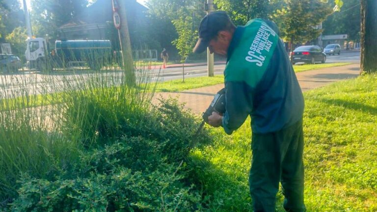 vegetatia-din-cartierele-din-iasi-va-fi-taiata-in-urmatoarele-saptamani!-iesenii-sunt-nemultumiti-ca-primaria-a-intarziat-interventiile