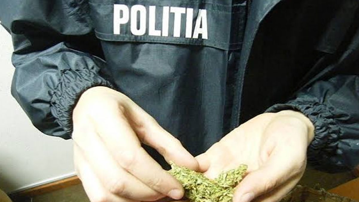 studentii-condamnati-pentru-trafic-de-droguri-vor-sa-fie-liberi!-unul-a-fost-judecat-si-pentru-pornografie-infantila!