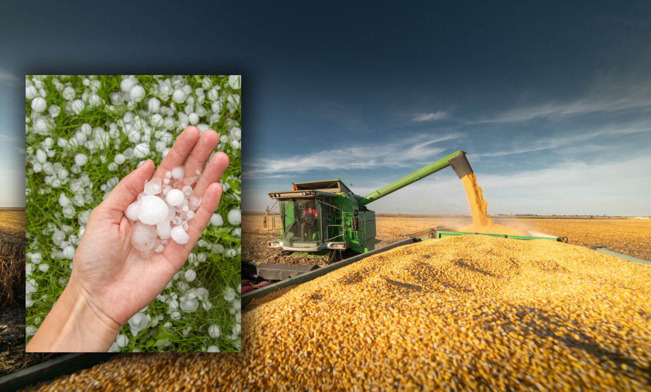 criza-politica-blocheaza-agricultura.-in-timp-ce-romania-este-traversata-de-un-episod-de-furtuni,-sistemul-antigrindina-ramane-nefunctional