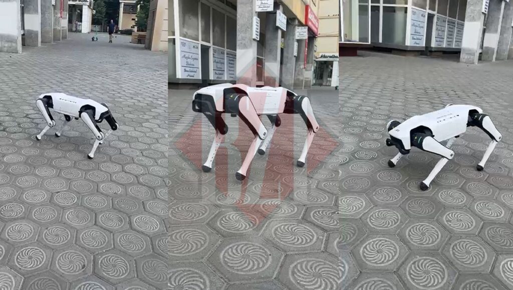un-iesean-si-a-scos-cainele-robot-la-plimbare-prin-oras.-a-platit-mii-de-euro-pentru-dispozitivul-controlat-de-inteligenta-artificiala