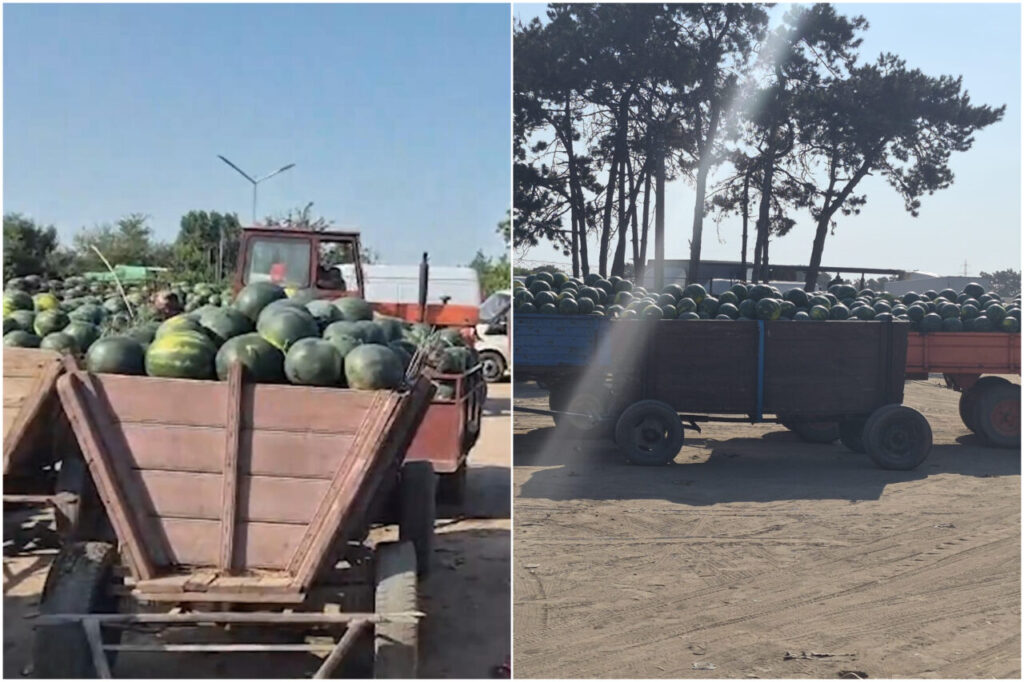 galerie-foto:-pepenii-de-dabuleni-se-vand-la-pret-de-nimic.-nu-ne-acoperim-investitia