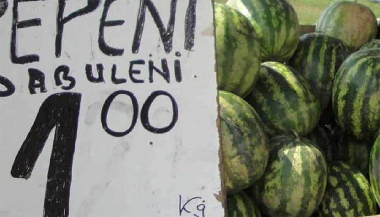 cat-de-romanesti-sunt,-de-fapt,-pepenii-de-dabuleni?-din-ce-tara-isi-iau-semintele-taranii
