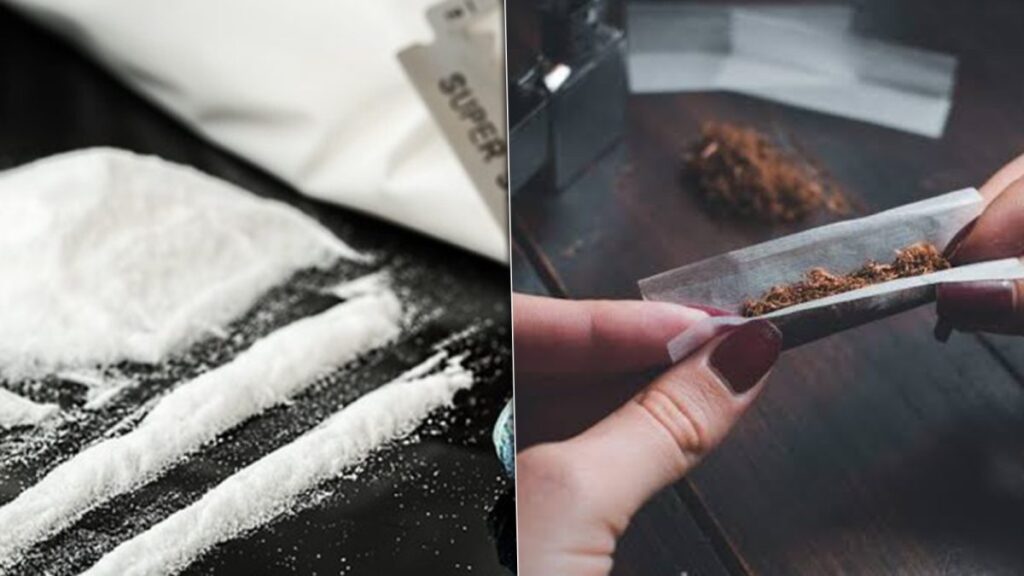 un-tanar-prins-cu-o-cantitate-record-de-droguri,-judecat-la-primul-termen!-avea-peste-3-kg-de-canabis!