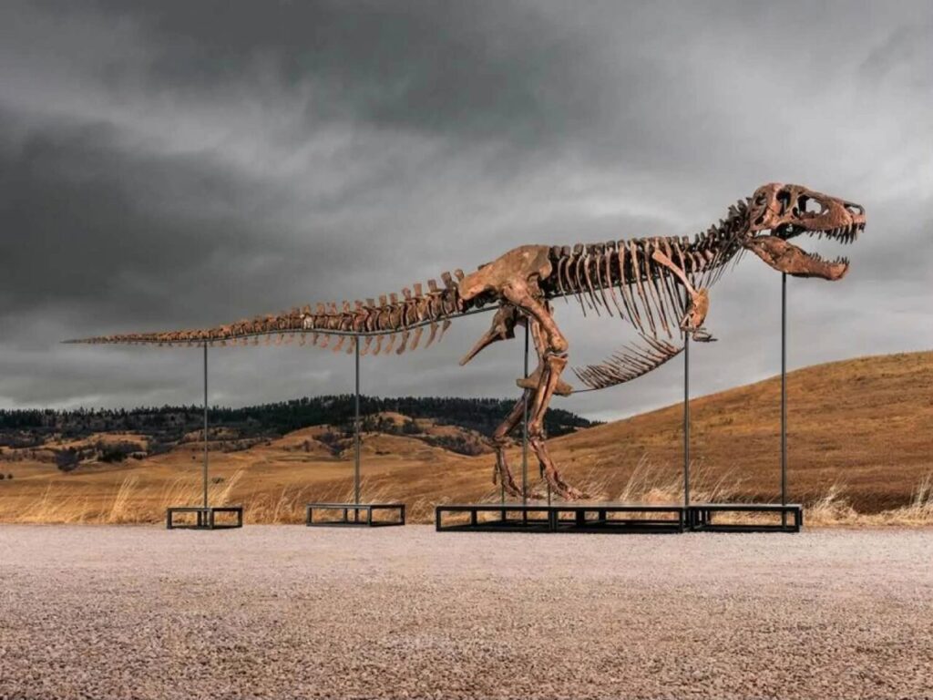 cel-mai-scump-dinozaur-din-lume-a-fost-vandut-in-sua.-scheletul-complet-de-t-rex-a-atins-o-suma-record-in-mai-putin-de-10-minute