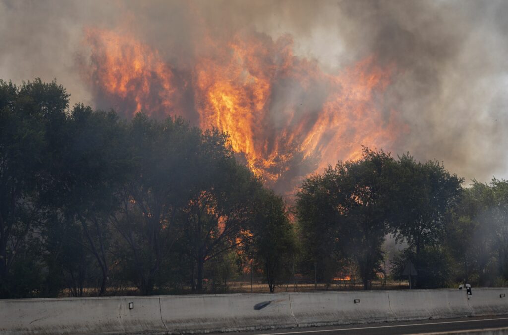 spania-declara-stare-de-urgenta,-dupa-ce-incendiile-de-padure-au-dus-la-evacuarea-a-10.000-de-oameni