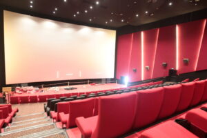 mii-de-oameni-calatoresc-sute-de-kilometri-doar-ca-sa-vada-acelasi-film.-explicatia-fenomenului