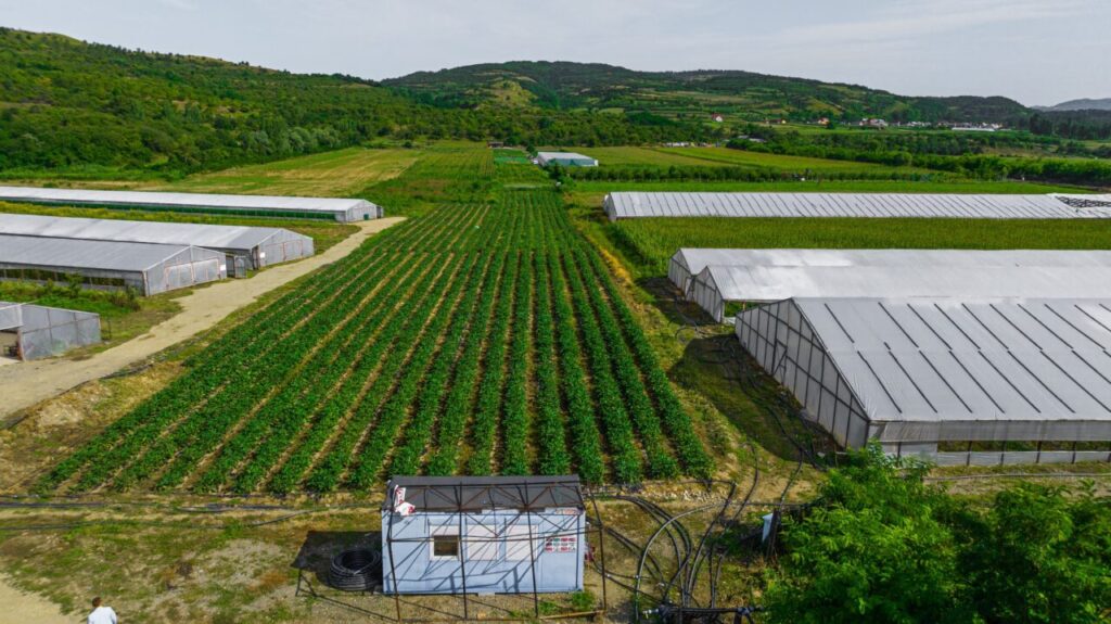 fonduri-pentru-ferme-mici:-ghidul-afir-de-50.000-de-euro