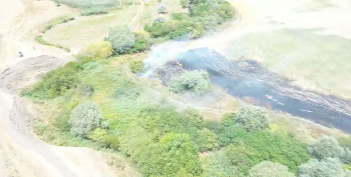 incendiu-de-vegetatie-la-dobrovat!-flacarile-au-cuprins-5.000-de-metri-patrati,-iar-pompierii-au-intervenit-de-urgenta
