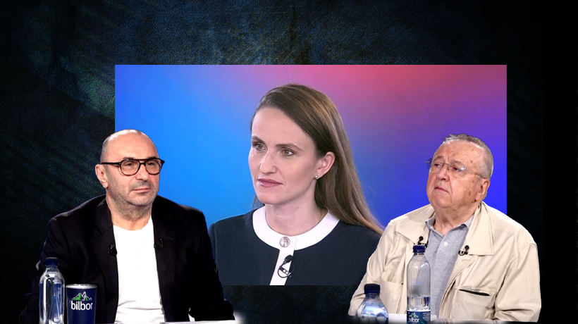 ion-cristoiu-critica-activitatea-oanei-toiu-la-mae