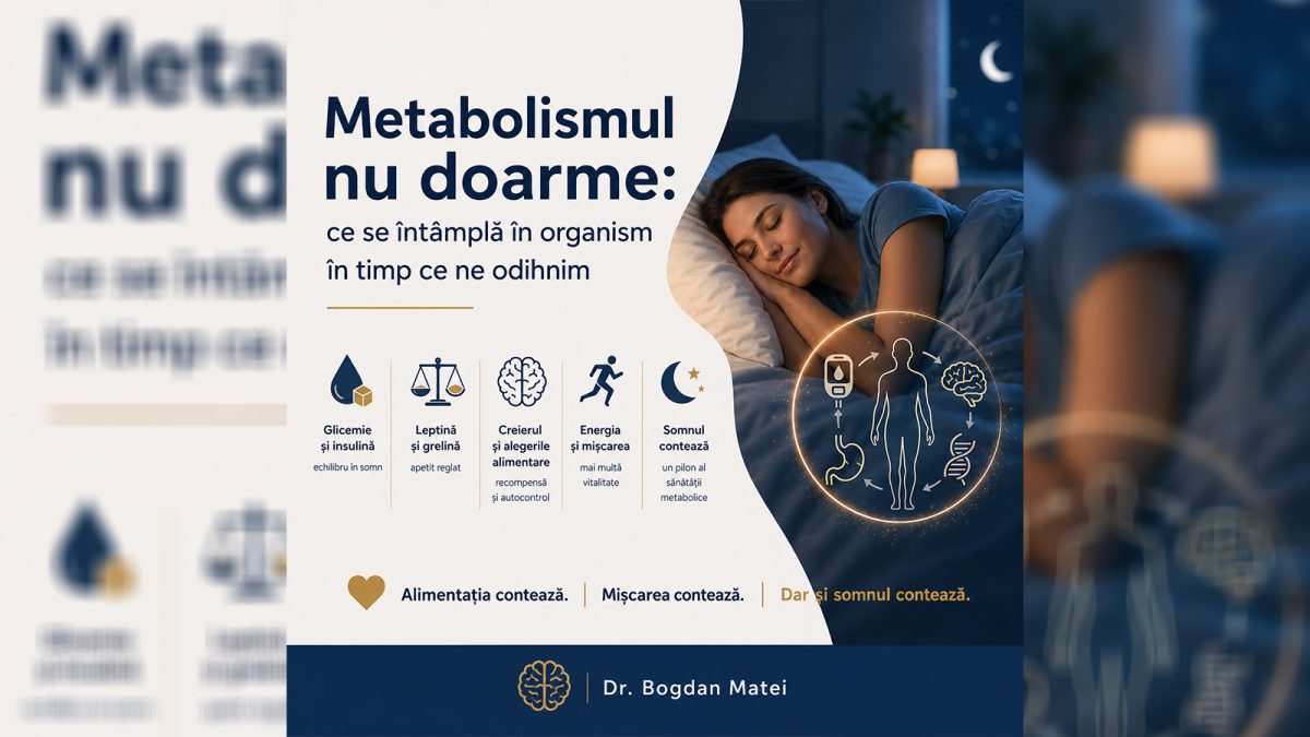 biologia-somnului-(23):-metabolismul-nu-doarme.-ce-se-intampla-in-organism-in-timp-ce-ne-odihnim