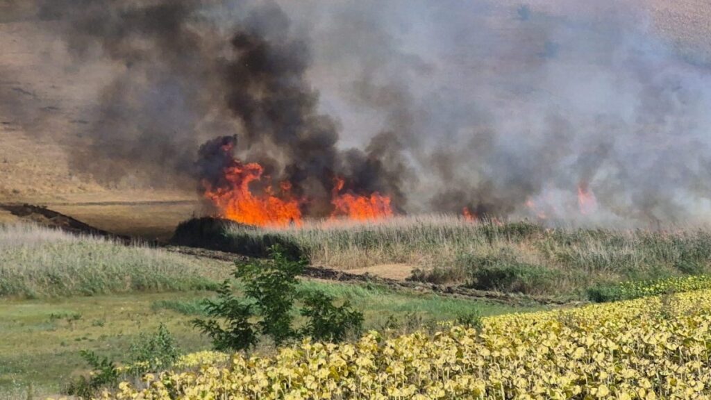 incendiu-de-vegetatie-uscata-intre-focuri-si-fantanele,-in-judetul-iasi.-flacarile-au-cuprins-pana-la-25-de-hectare