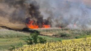 incendiu-de-vegetatie-uscata-intre-focuri-si-fantanele,-in-judetul-iasi.-flacarile-au-cuprins-pana-la-25-de-hectare