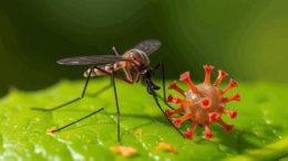 avertismentul-care-pune-romania-pe-harta-tarilor-cu-infectii-periculoase:-caldura-urmata-de-ploi-poate-favoriza-raspandirea-unui-virus