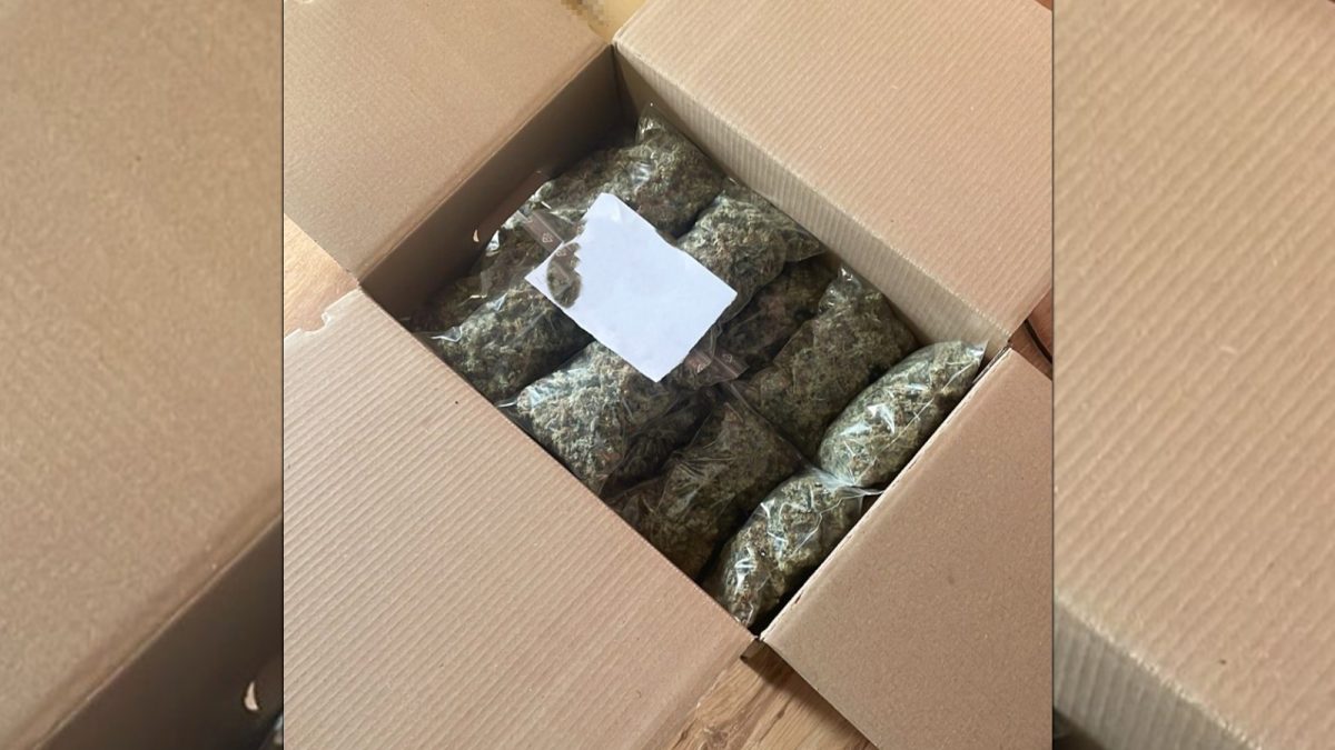 pedeapsa-grea-pentru-un-iesean-prieten-cu-drogurile!-tanarula-mai-fost-prins-si-in-2023-cu-peste-un-kilogram-de-canabis