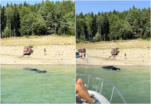 sofer-din-iasi,-cu-masina-scufundata-complet-in-lacul-bicaz