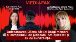 domnul-jandarm,-sunt-judecator!-stati-sa-mi-iau-geanta!/-jandarm:-dumneavoastra-ati-creat-situatia!-inregistrarile-scandalului-monstru-de-la-iccj,-de-unde-liliana-alexe-a-fost-evacuata-cu-jandarmii-din-sedinta,-dupa-ce-a-pledat-in-propriul-dosar.-cate-cal