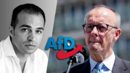 stefan-popescu:-ce-inseamna-victoria-afd-pentru-romania-si-ue