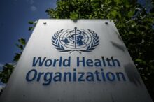 chile-scrie-istorie-in-lupta-cu-rabia-|-este-prima-tara-din-america-de-sud-care-elimina-transmiterea-bolii-de-la-caini-la-oameni