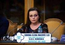 deputata-simona-elena-macovei-ilie:-romania-preturilor-europene-si-a-veniturilor-insuficiente