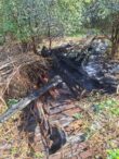 incendiu-in-zona-alexandru-din-iasi.-focul-ar-fi-pornit-de-la-o-tigara-aruncata-de-pe-pasarela