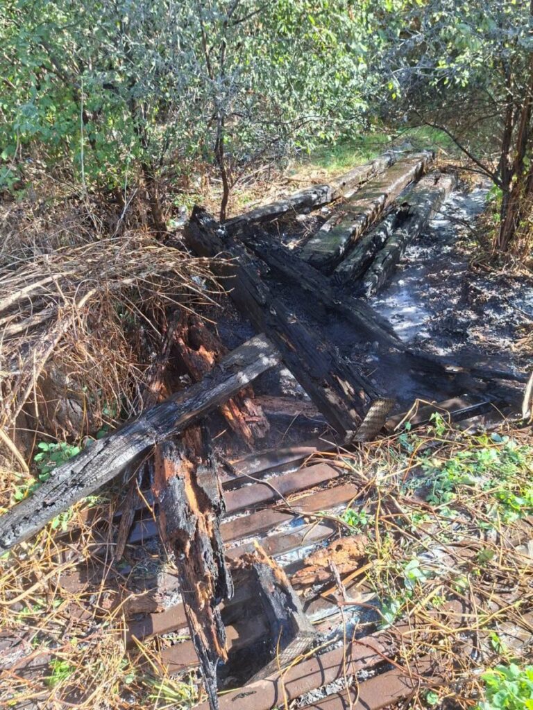 incendiu-in-zona-alexandru-din-iasi.-focul-ar-fi-pornit-de-la-o-tigara-aruncata-de-pe-pasarela