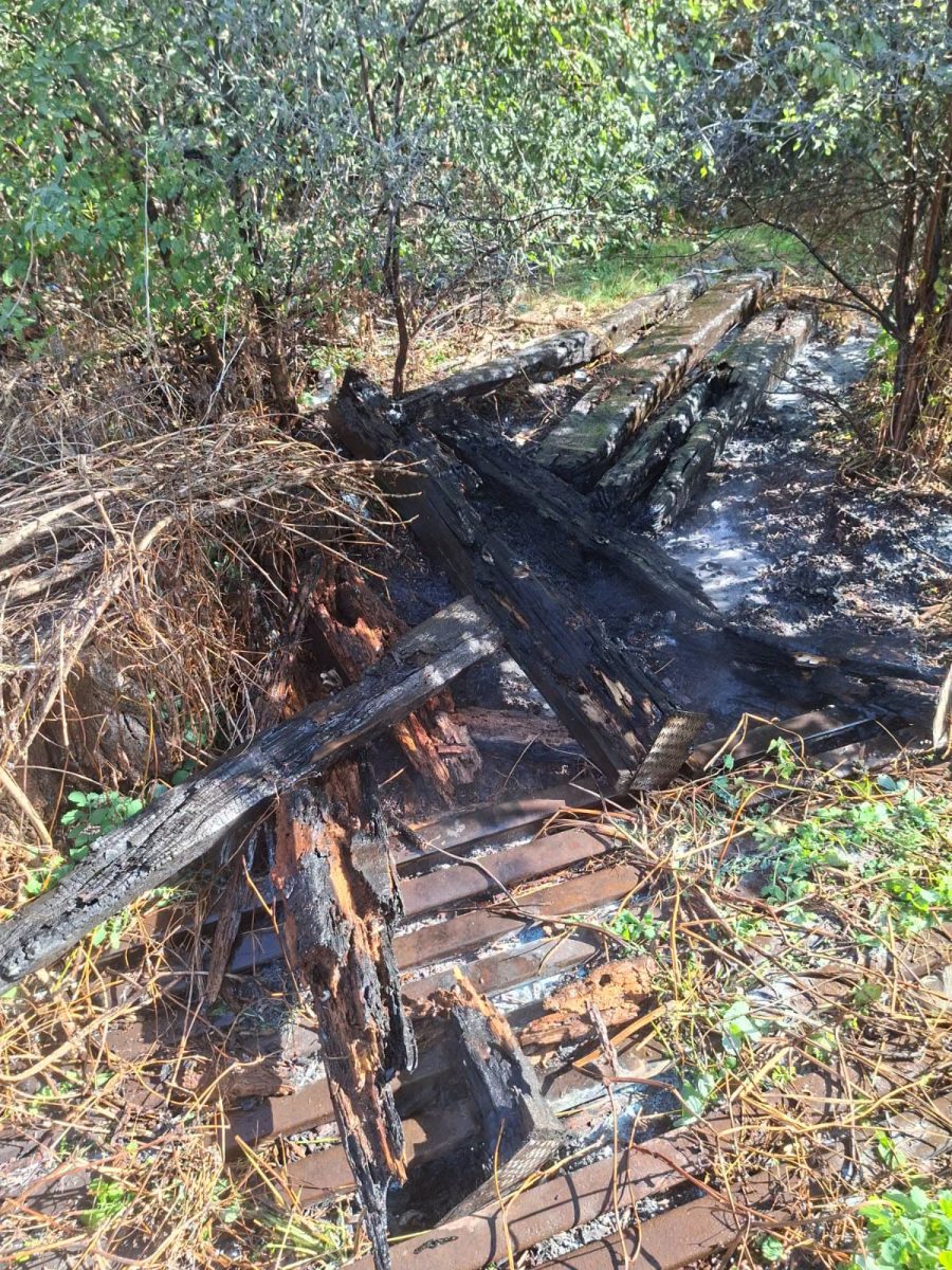 incendiu-in-zona-alexandru-din-iasi.-focul-ar-fi-pornit-de-la-o-tigara-aruncata-de-pe-pasarela