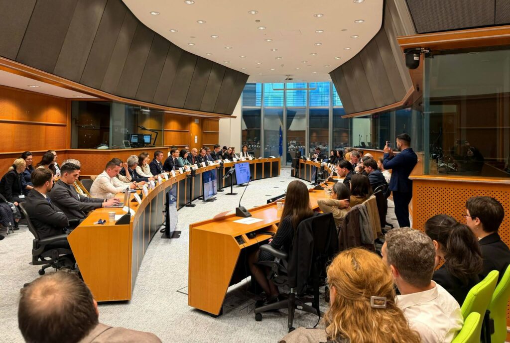 discutii-in-parlamentul-european-despre-securitatea-europei-pe-flancul-estic.-negrescu:-nu-este-suficient-sa-cumparam-echipamente