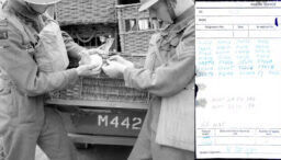 in-1942,-un-porumbel-calator-din-timpul-celui-de-al-doilea-razboi-mondial-a-disparut-cu-un-mesaj-cifrat-70-de-ani-mai-tarziu,-constructorii-i-au-gasit-ramasitele-si-biletul.-care-era-mesajul?