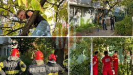 un-tanar-din-iasi-s-a-urcat-intr-un-copac-si-refuza-sa-coboare.-localnicii-au-sunat-la-politie-–-update