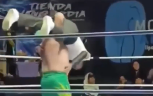 imagini-dramatice!-arbitrul-s-a-prabusit-in-ring-si-a-murit.-luptatorul-a-fost-arestat