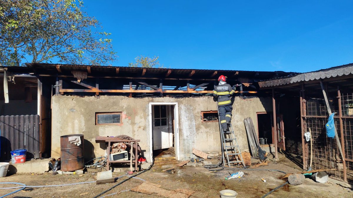 incendiu-la-o-anexa-gospodareasca-din-localitatea-sticlaria,-comuna-scobinti.-un-animal-a-fost-salvat-de-pompierii-militari