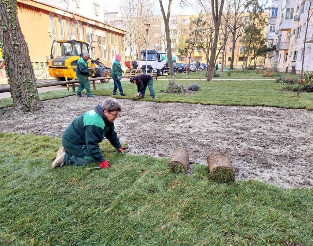 contract-de-peste-un-milion-de-lei-pentru-gazon-la-iasi.-firma-castigatoare-este-detinuta-de-fiul-fostului-furnizor