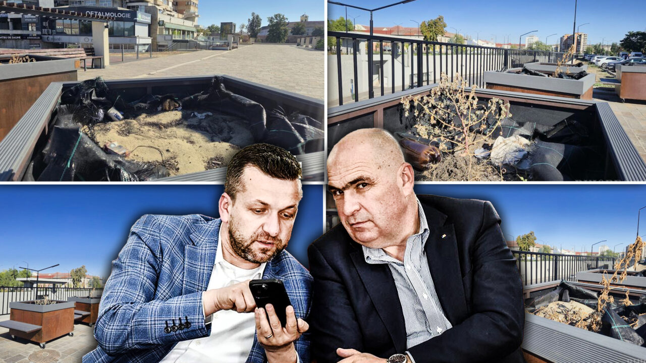 copacii-in-ghiveci-de-2.600-de-euro-bucata-din-oradea-s-au-uscat-la-nici-6-luni-de-la-plasarea-lor-prin-oras
